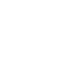 feature-icon
